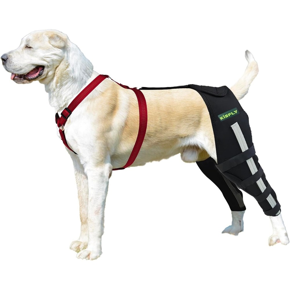 Rear Leg Braces Dogs Luxating Patella‎ Joint Pain Knee Brace Both Legs Large